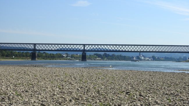 Rhein-Niedrigwasser2