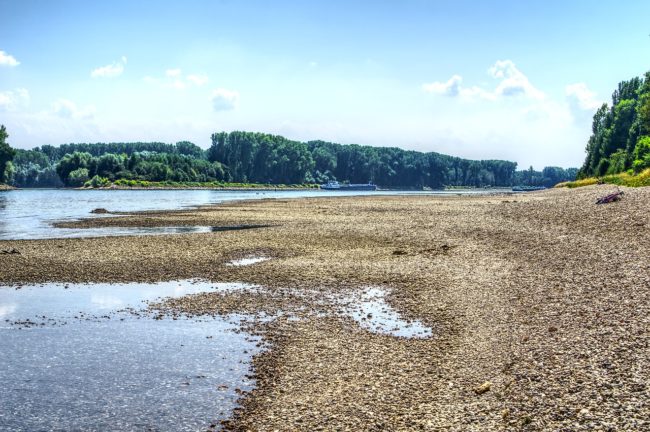 Rhein-Niedrigwasser